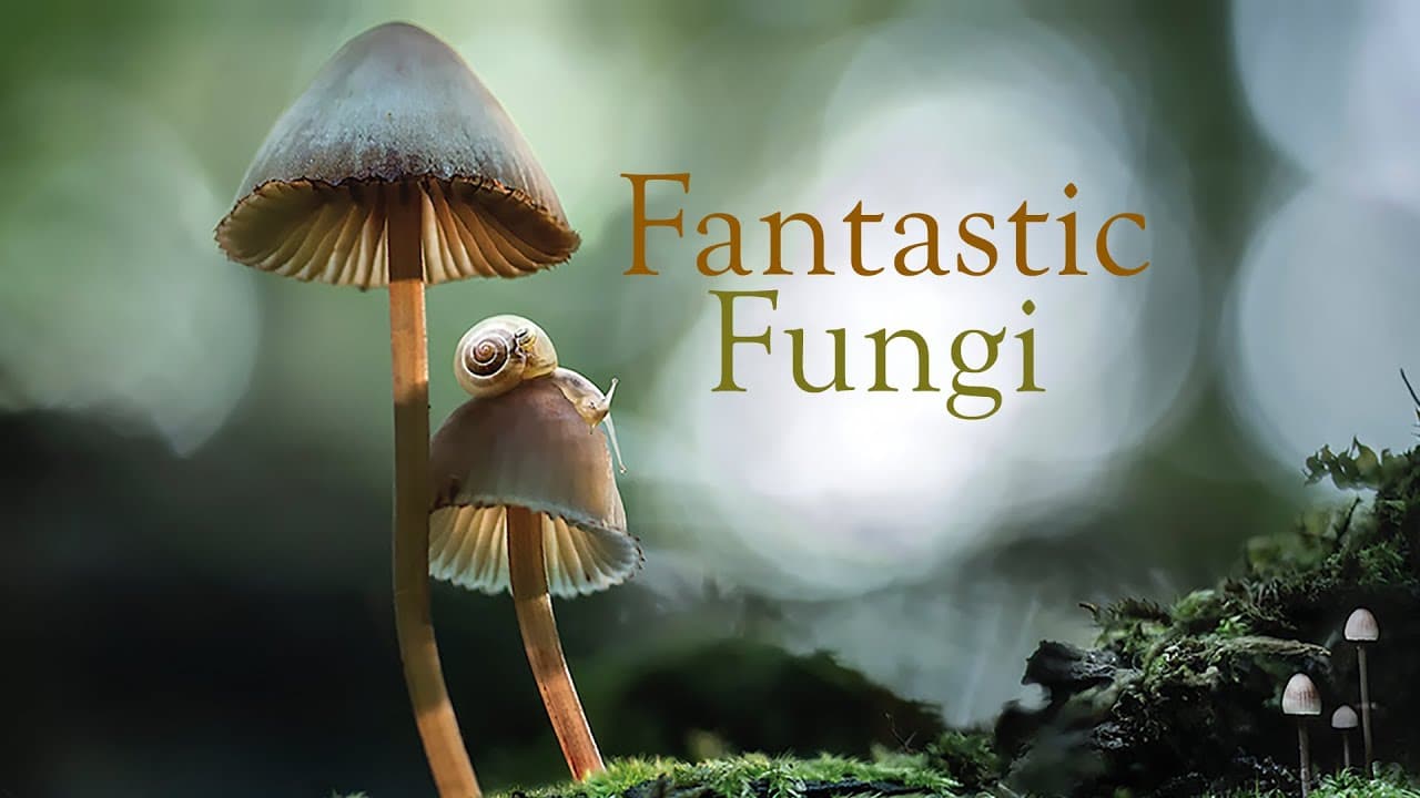 Fantastic Fungi Movie Logo