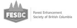 FESBC logo