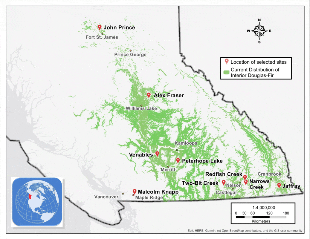 Map of all Mother Tree Research Sites in British Columbia